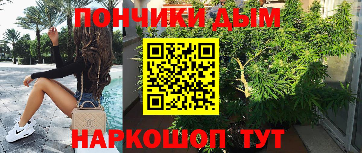 Шишки марихуана планчик Еманжелинск